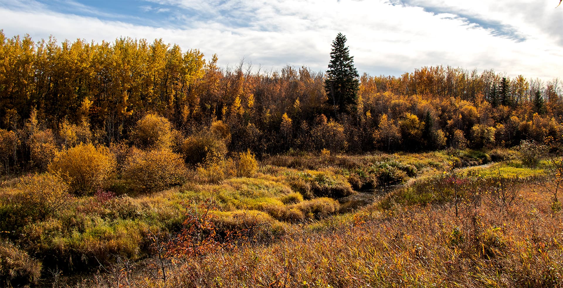 A stunning landscape