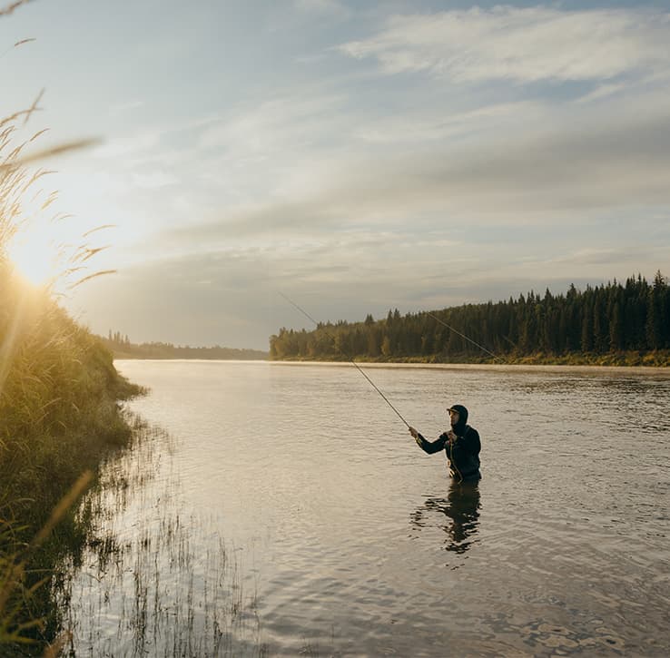 Descriptive alt text