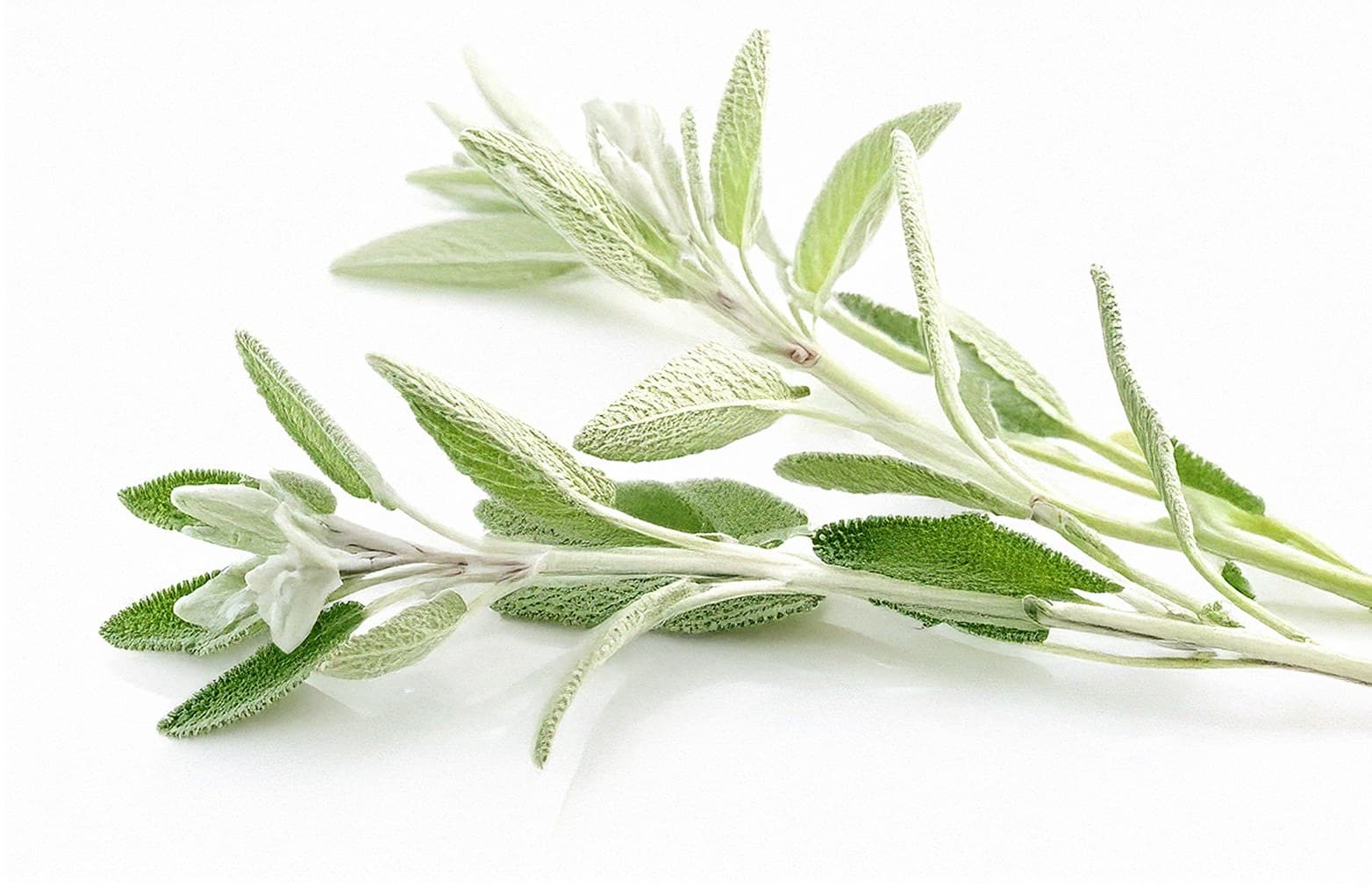 Descriptive alt text