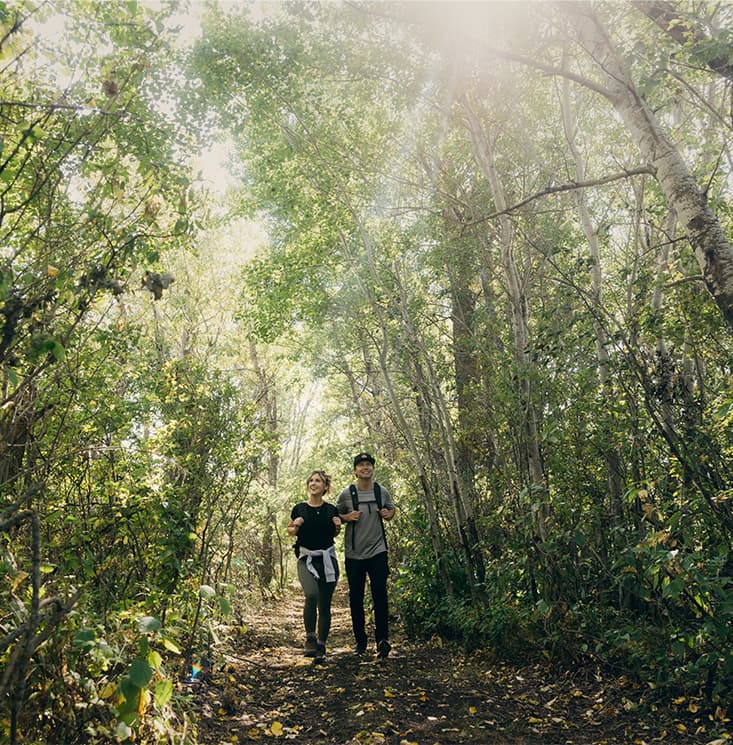 Descriptive alt text