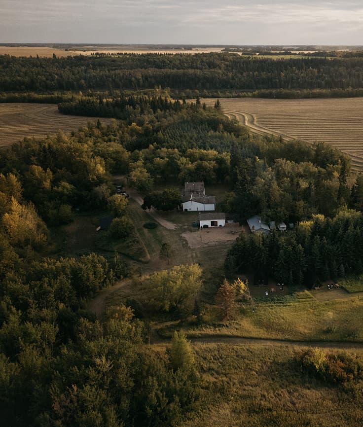 Descriptive alt text